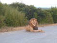 /album/photogallery/a2c-safari-jpg1/